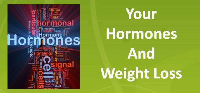 Hormones and Your Weight Loss